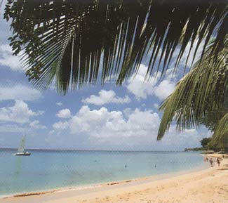 Baggywrinkle Villa In Barbados Photo
